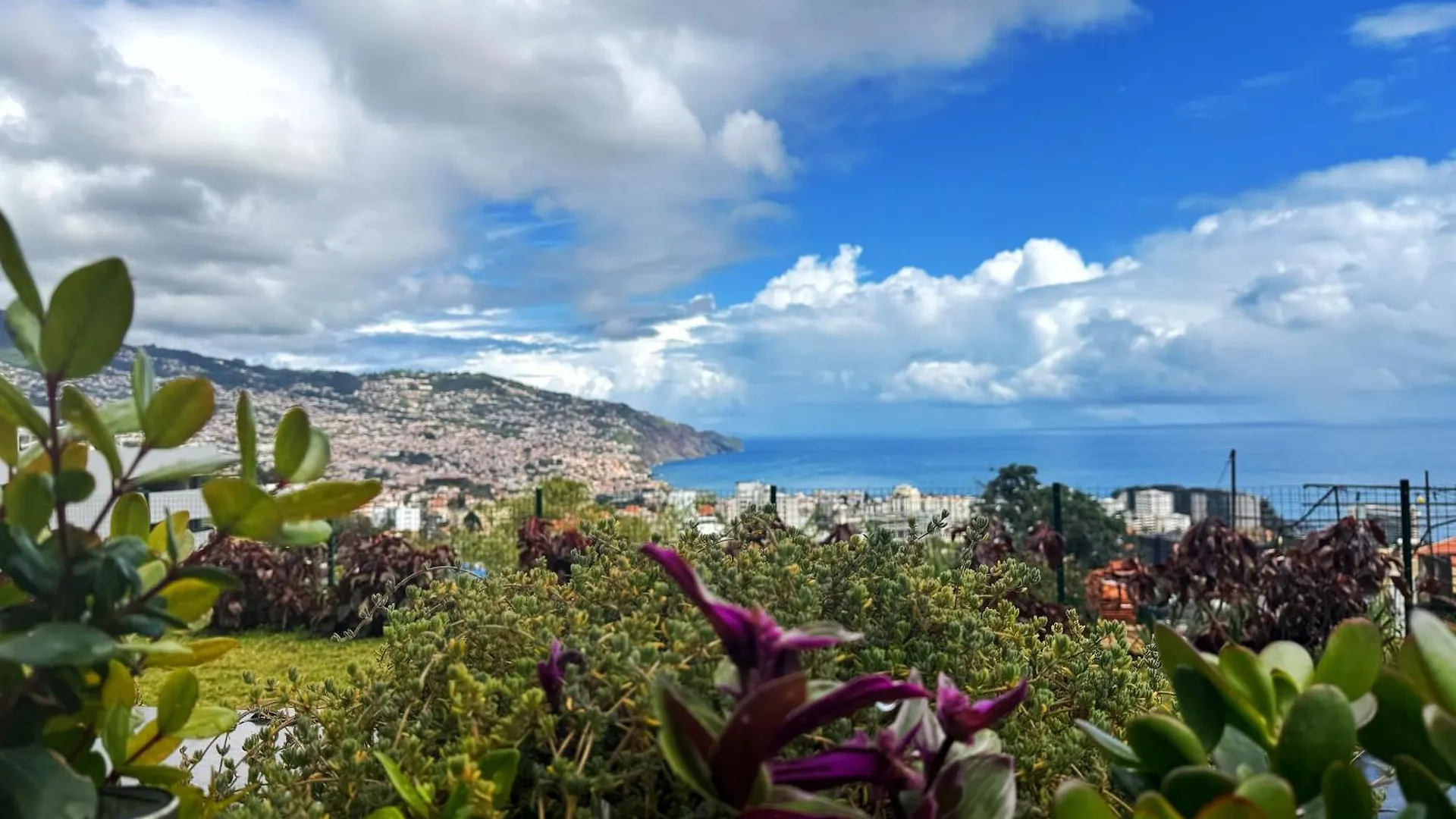 Appartement Virtudes Charm à Funchal  Portugal